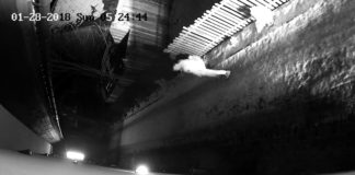 Policja poszukuje podpalacza