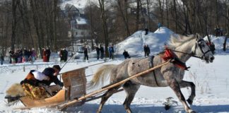Wyścigi kumoterek na liście UNESCO
