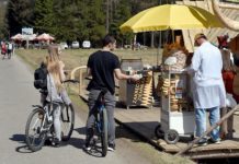 Zderzenie rowerzystki z pieszą w Dolinie Chochołowskiej