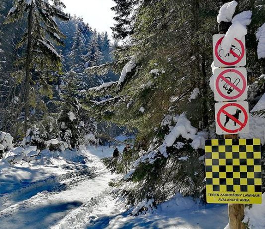 Pierwszy wypadek lawinowy tego sezonu