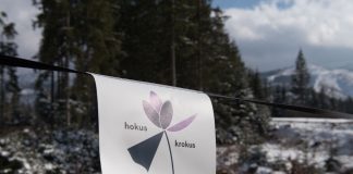 Trwają przygotowania do przyjęcia krokusowych turystów
