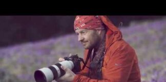 Zobacz film o krokusach w Dolinie Chochołowskiej