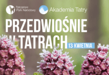 Akademia Tatry