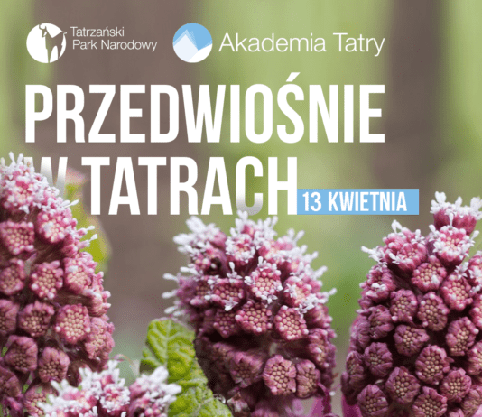 Akademia Tatry